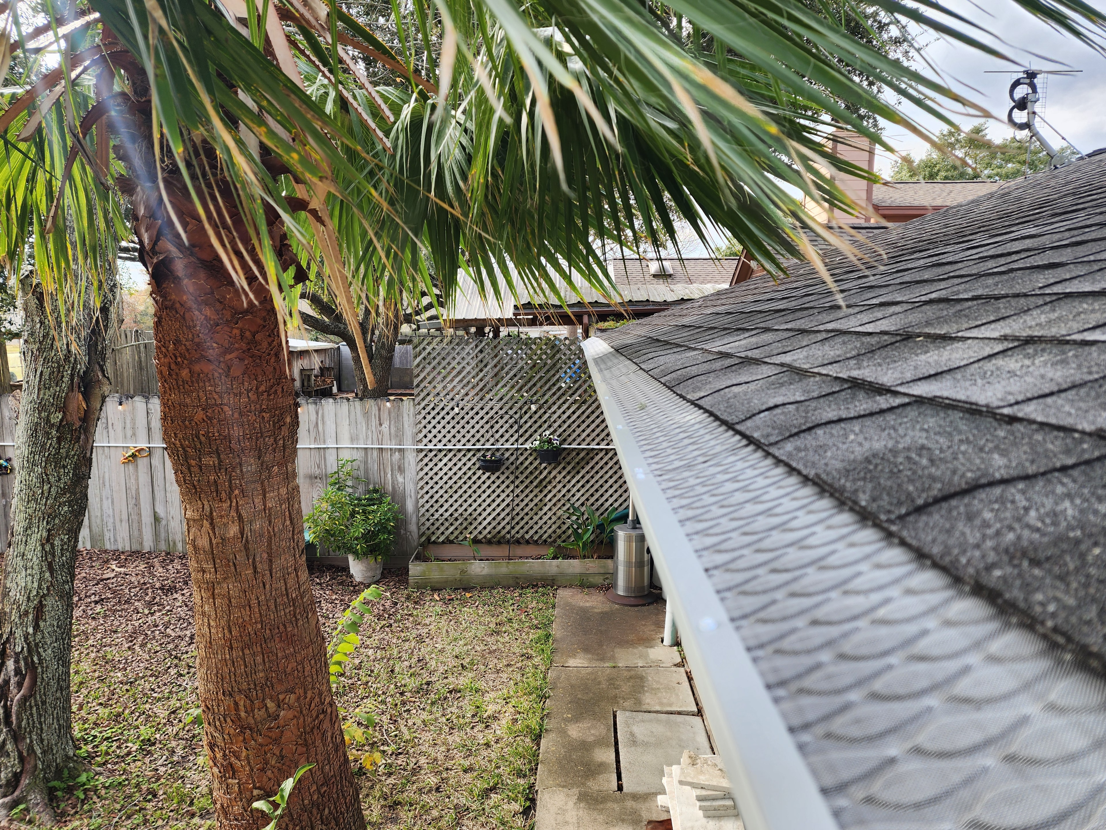 Gutter guard installation with palm tree — Houston TX